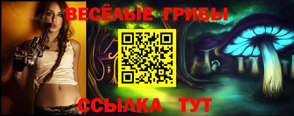 Псилоцибиновые грибы Cubensis  Вход с VPN  Белогорск 